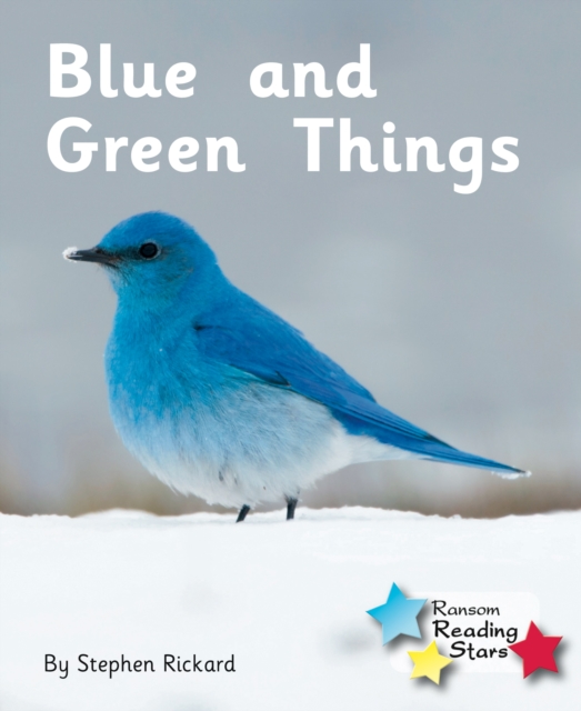 Blue and Green Things, Paperback / softback Book