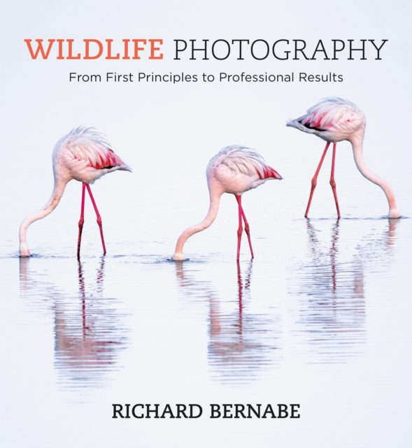 Wildlife Photography, EPUB eBook