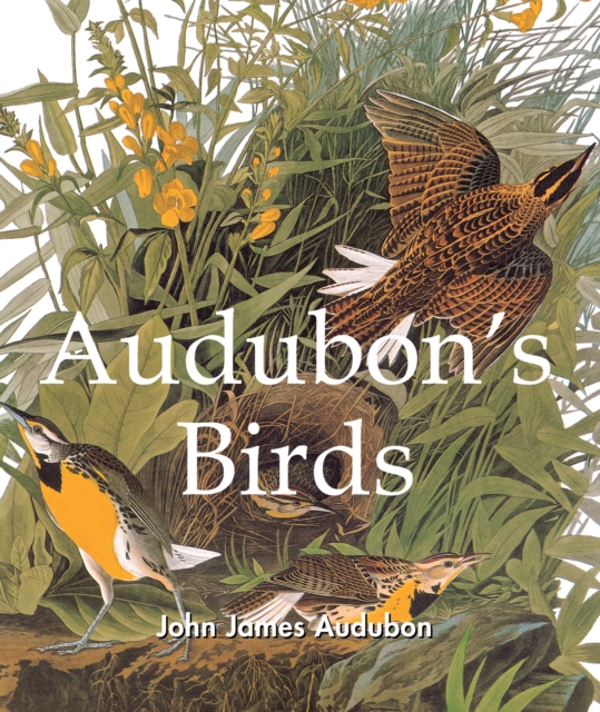 Audubon's Birds, EPUB eBook