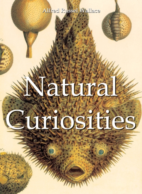 Natural Curiosities, EPUB eBook