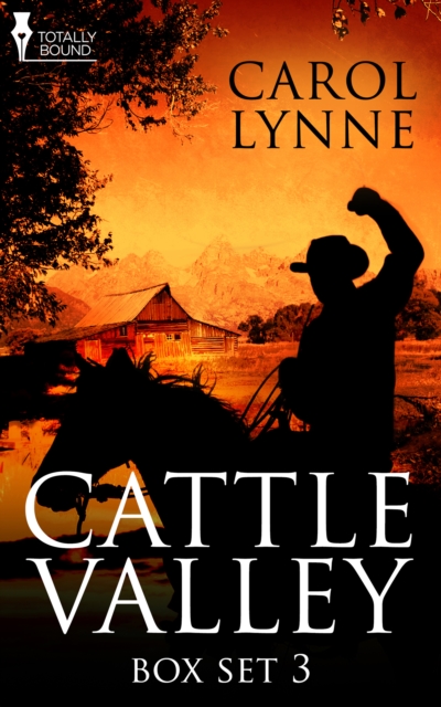 Cattle Valley Box Set 3, EPUB eBook