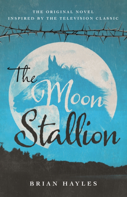 The Moon Stallion, Paperback / softback Book