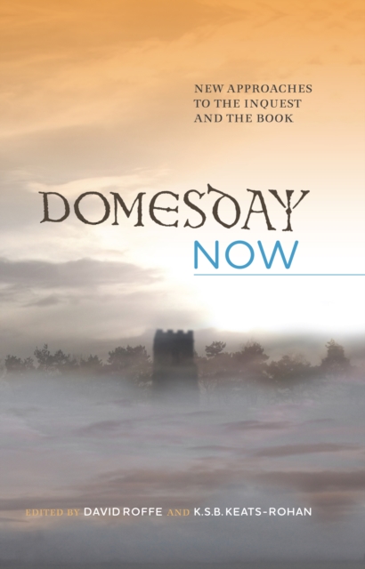 Domesday Now : New Approaches to the Inquest and the Book, PDF eBook