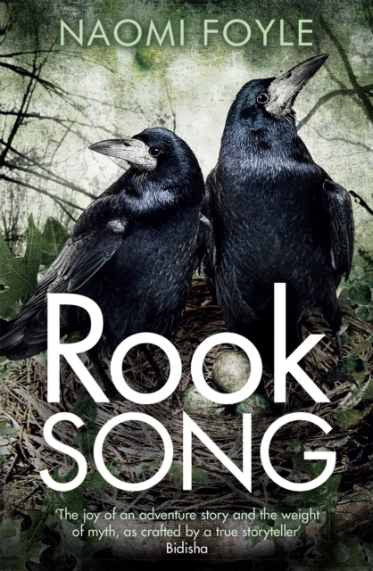 Rook Song : The Gaia Chronicles Book 2, Paperback / softback Book