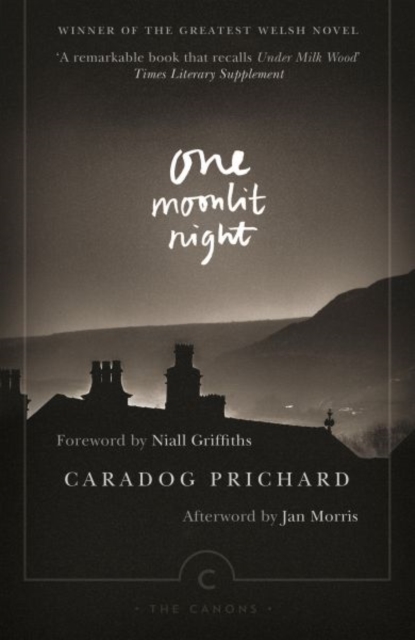 One Moonlit Night, Paperback / softback Book