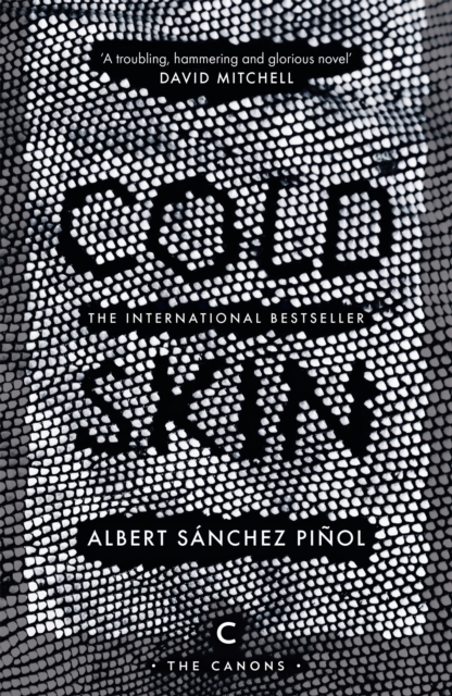 Cold Skin, Paperback / softback Book
