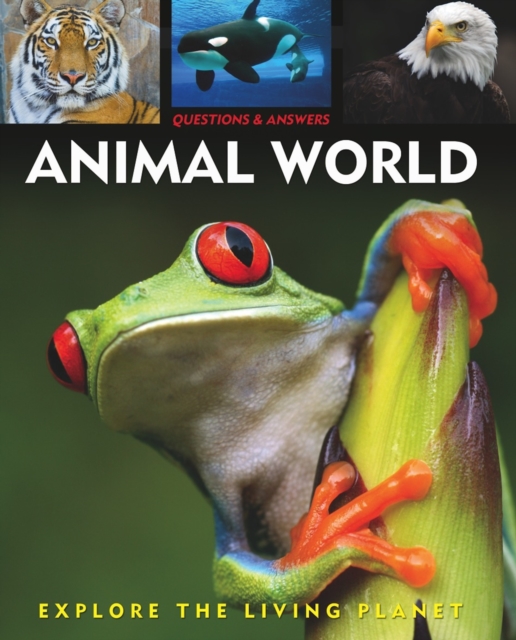 Questions and Answers about: Animal World, EPUB eBook