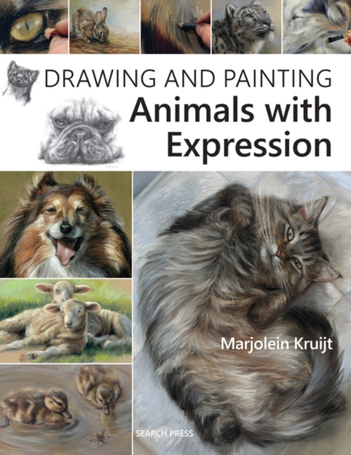 Drawing and Painting Animals with Expression, Paperback / softback Book