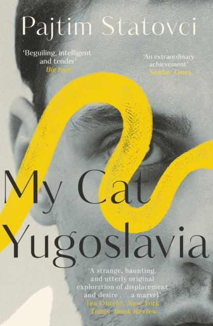 My Cat Yugoslavia, Paperback / softback Book