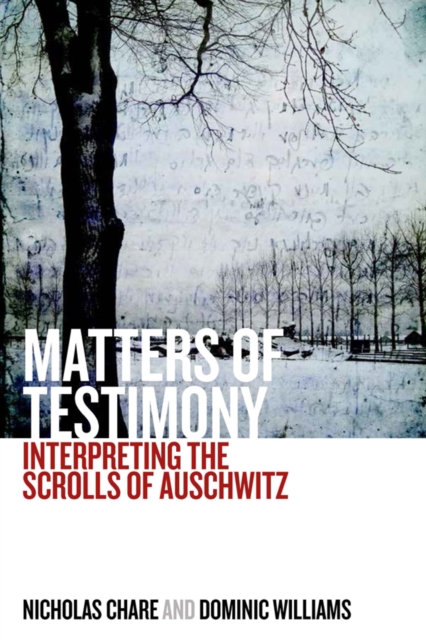 Matters of Testimony : Interpreting the Scrolls of Auschwitz, EPUB eBook