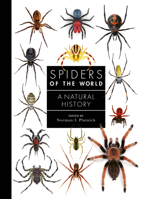 Spiders of the World : A Natural History, Hardback Book