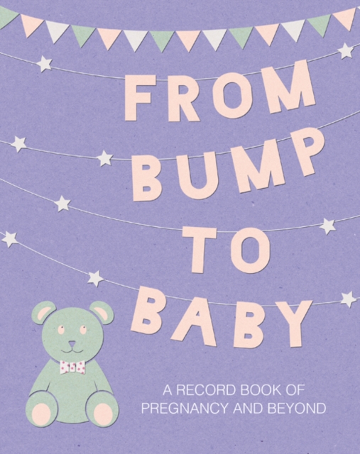 From Bump to Baby : A Record Book of Pregnancy and Beyond, Hardback Book