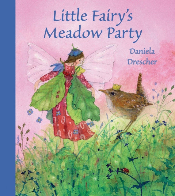 Little Fairy's Meadow Party, Hardback Book