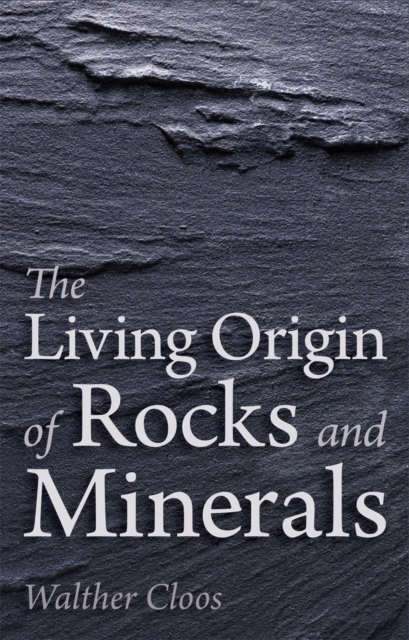 The Living Origin of Rocks and Minerals, Paperback / softback Book