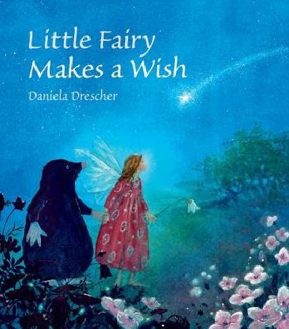Little Fairy Makes a Wish, Hardback Book