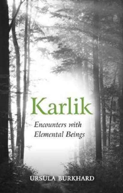 Karlik : Encounters with Elemental Beings, Paperback / softback Book