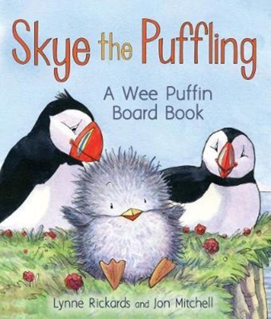 Skye the Puffling : A Wee Puffin Board Book, Board book Book