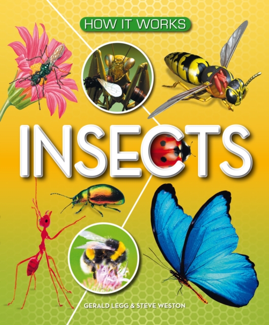 How It Works: Insects, Hardback Book