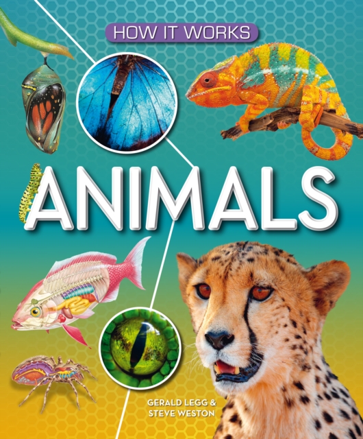 How It Works: Animals, Hardback Book