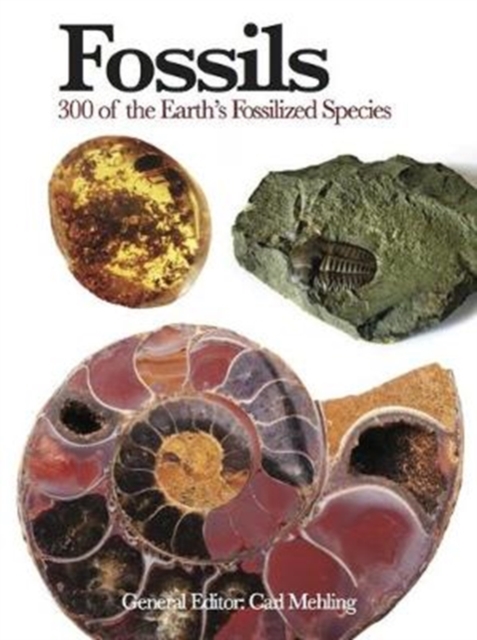 Fossils : 300 of the Earth's Fossilized Species, Paperback / softback Book