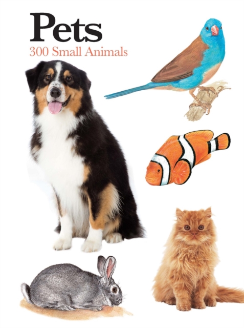 Pets : 300 Small Animals, Paperback / softback Book