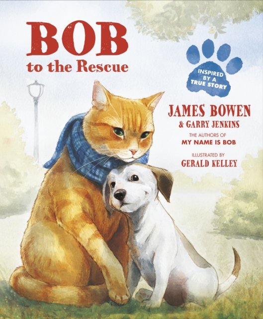 Bob to the Rescue : An Illustrated Picture Book, Paperback / softback Book