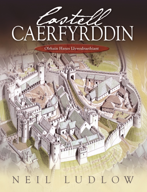 Castell Caerfyrddin : Olrhain Hanes Llywodraethiant, EPUB eBook