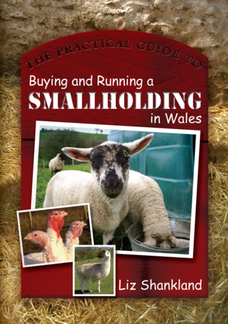The Practical Guide to Buying and Running a Smallholding in Wales, EPUB eBook