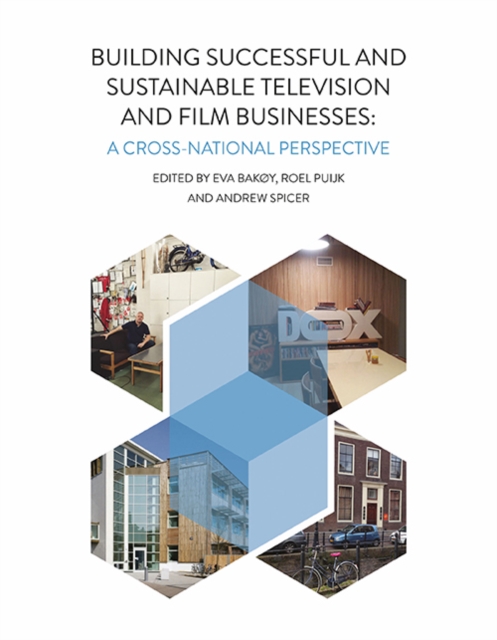 Building Successful and Sustainable Film and Television Businesses : A Cross-National Perspective, PDF eBook
