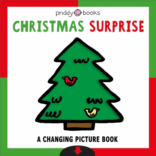 Christmas Surprise, Board book Book
