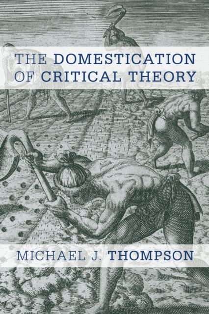 Domestication of Critical Theory, EPUB eBook