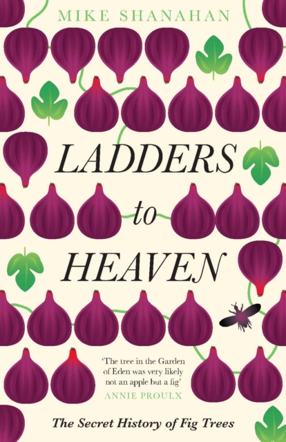Ladders to Heaven, Paperback / softback Book