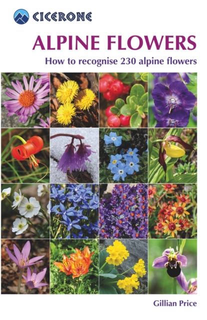 Alpine Flowers : A pocket field guide to 230 of the most commonly found Alpine species, PDF eBook