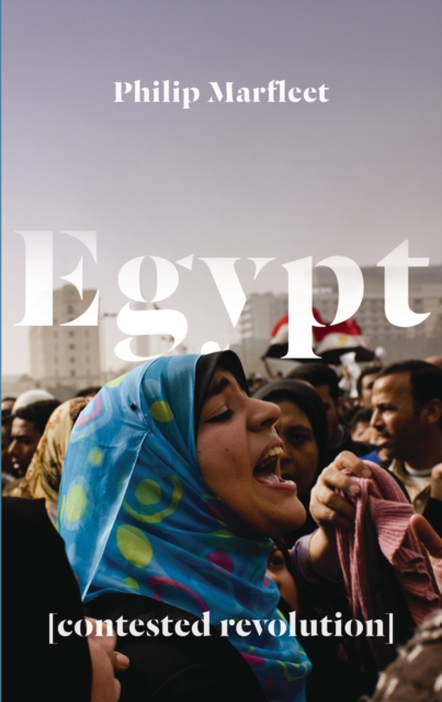 Egypt : Contested Revolution, PDF eBook