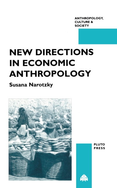 New Directions in Economic Anthropology, PDF eBook