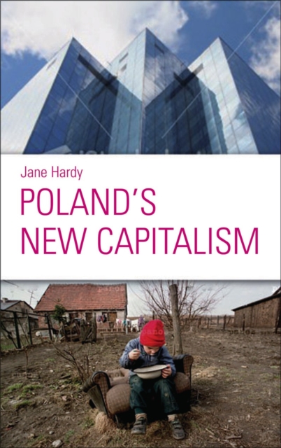 Poland's New Capitalism, PDF eBook