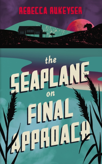 The Seaplane on Final Approach, Paperback / softback Book