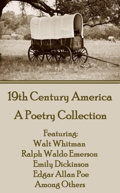 19th Century America, EPUB eBook
