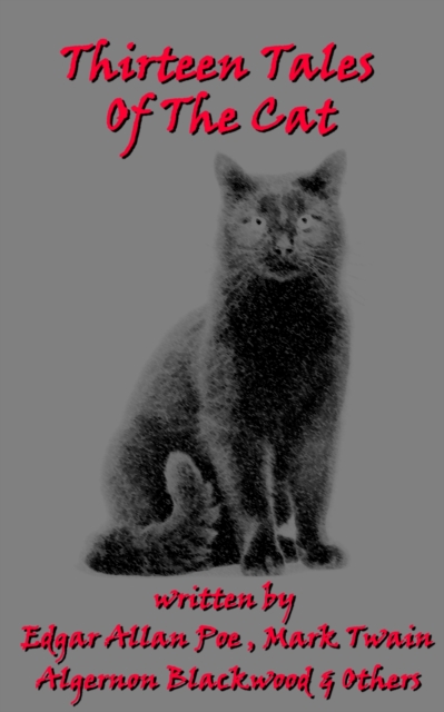 13 Tales Of The Cat, EPUB eBook