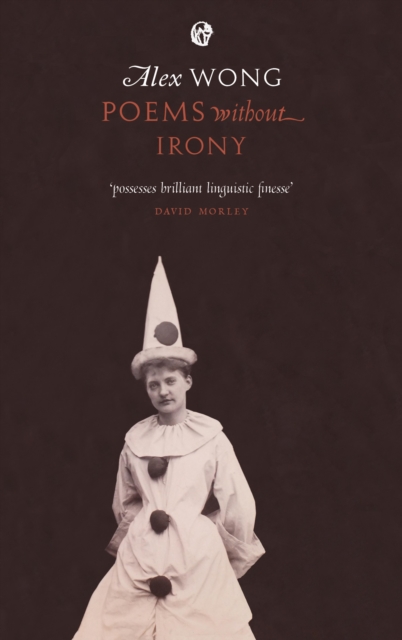 Poems without Irony, EPUB eBook