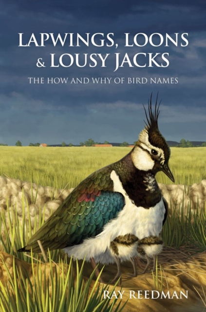 Lapwings, Loons and Lousy Jacks : The How and Why of Bird Names, EPUB eBook