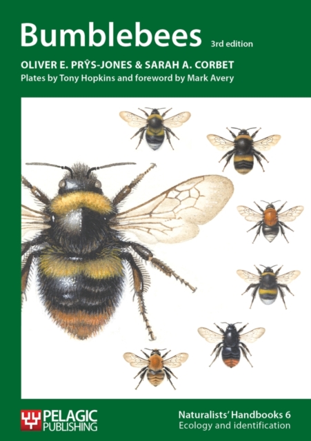 Bumblebees, PDF eBook