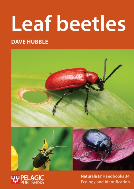 Leaf beetles, EPUB eBook