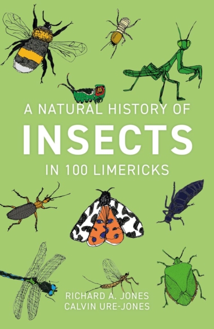 A Natural History of Insects in 100 Limericks, Paperback / softback Book