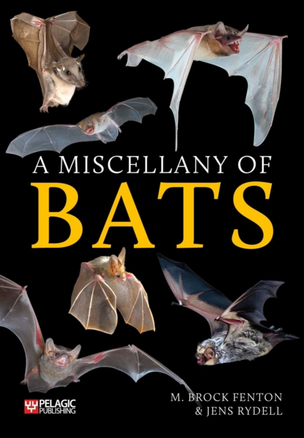 A Miscellany of Bats, PDF eBook