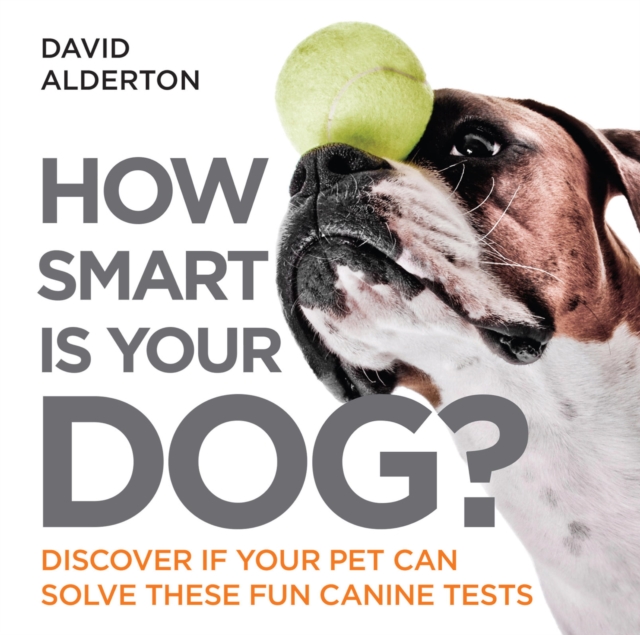 How Smart Is Your Dog? : Discover If Your Pet Can Solve These Fun Canine Tests, EPUB eBook