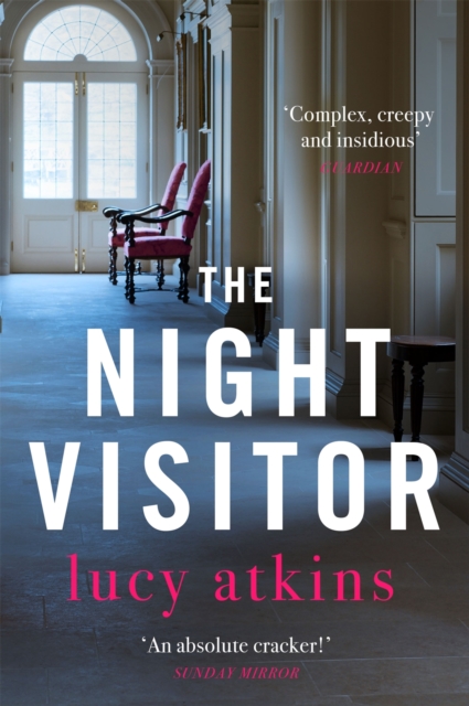 The Night Visitor : the gripping and enticing thriller from the author of Magpie Lane, EPUB eBook