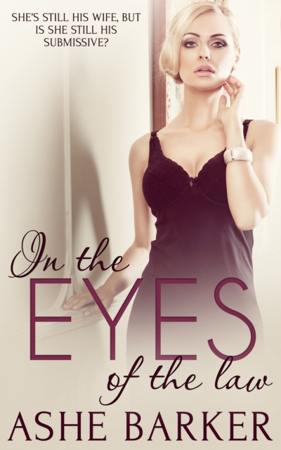 In the Eyes of the Law, EPUB eBook