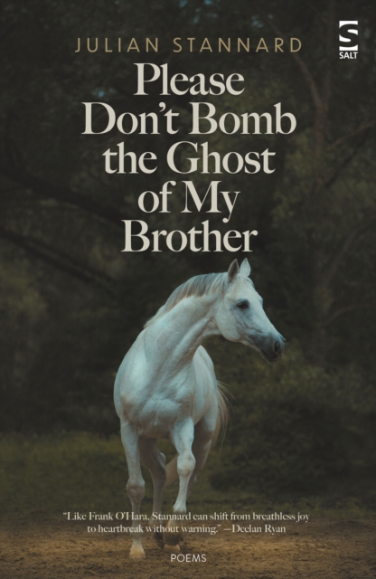 Please Don’t Bomb the Ghost of My Brother, Paperback / softback Book