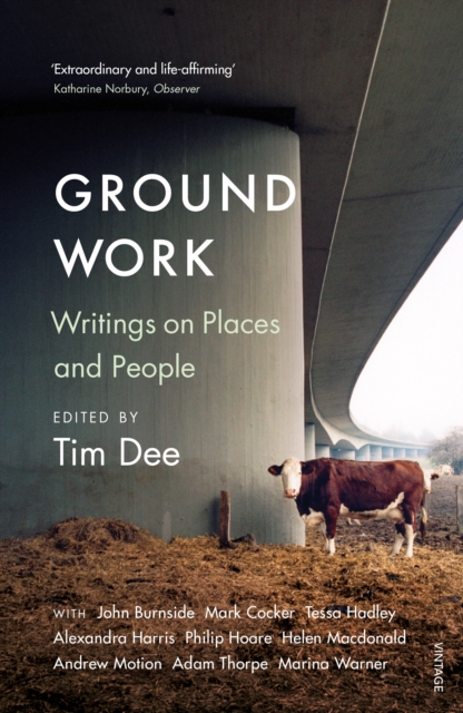 Ground Work : Writings on People and Places, Paperback / softback Book